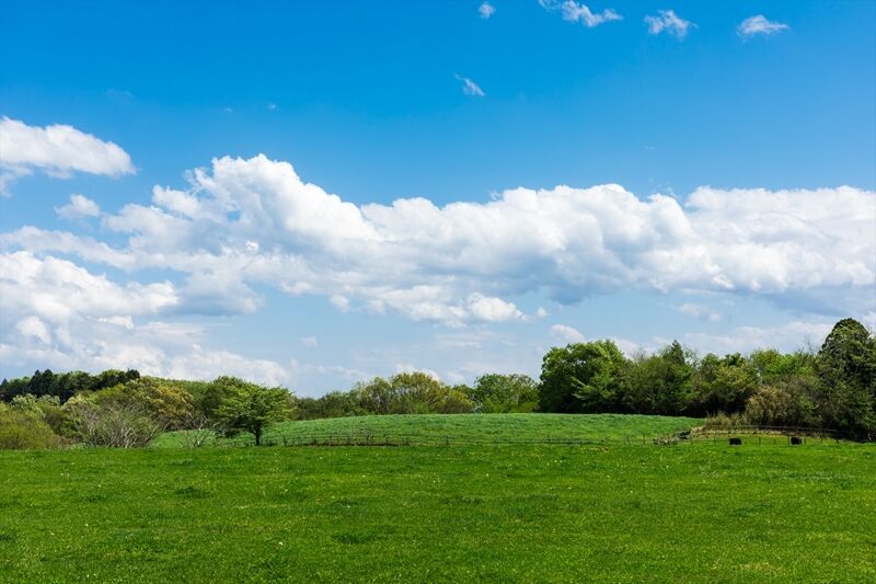 AdobeStock_266290033